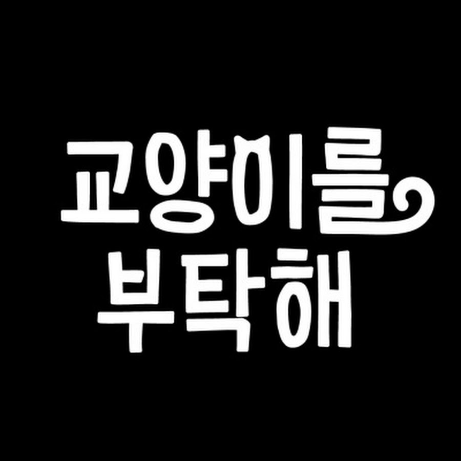 교양이를 부탁해