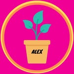 Alex AI