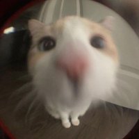 휜